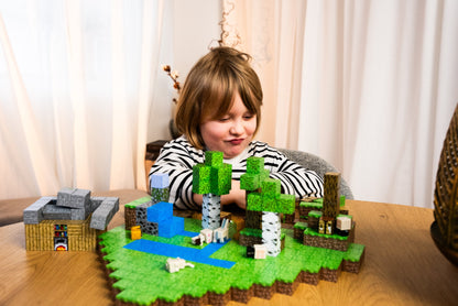 Magnetisch Bouwspeelgoed – Educatief Constructiespel vanaf 3 Jaar